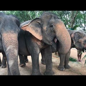 Meet your Posher, Fred